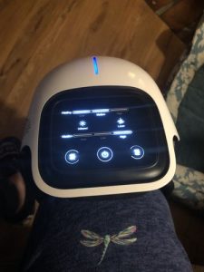 Knee Recovery Heat and Vibrate Massager photo review